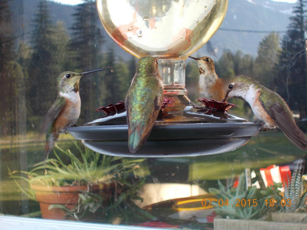 Hotel Bone Creek Wilderness Retreat Blue River Esterno foto